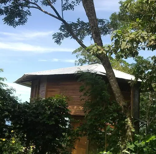 Tierra Madre Eco Lodge